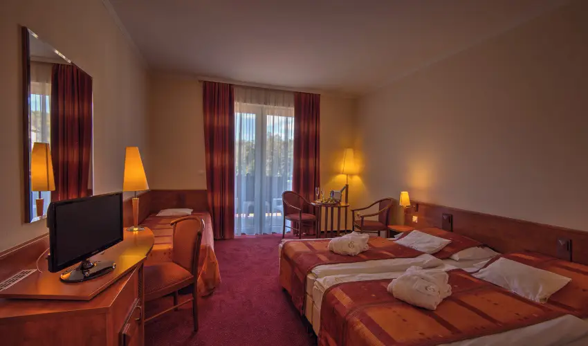 Erzsbet Park Hotel Pardfrd - Szilveszter (min. 3 j)