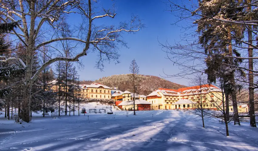 Erzsbet Park Hotel Pardfrd - Szilveszter (min. 3 j)