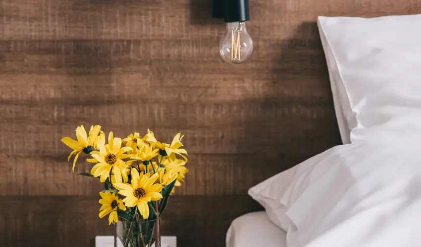 FATA Birtok Vendghz Nemesgulcs - Szilveszter (min. 2 j)