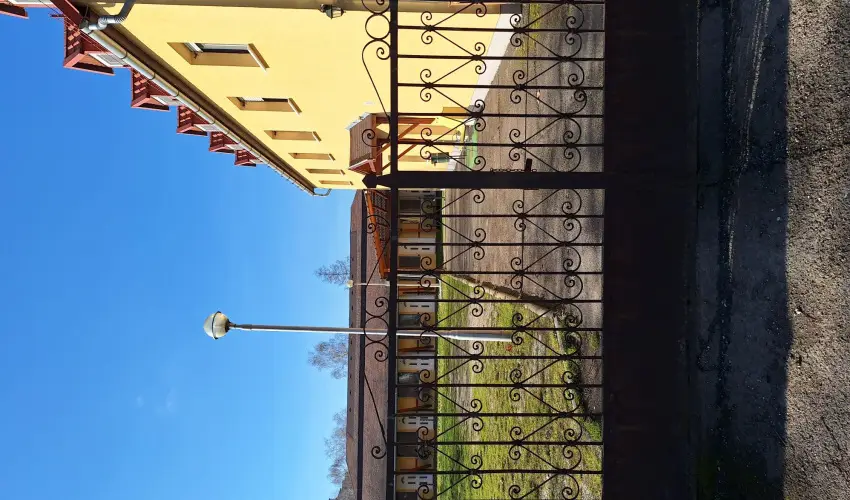 Feny Panzi Mezkvesd - Szilveszter