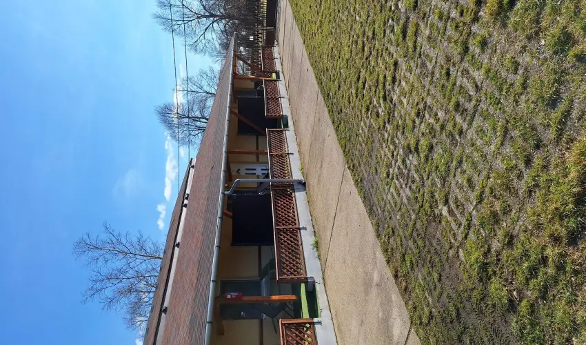 Feny Panzi Mezkvesd - Szilveszter