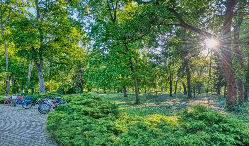 Fnix Wellness Resort Ngrdgrdony - Szilveszter (min. 3 j)