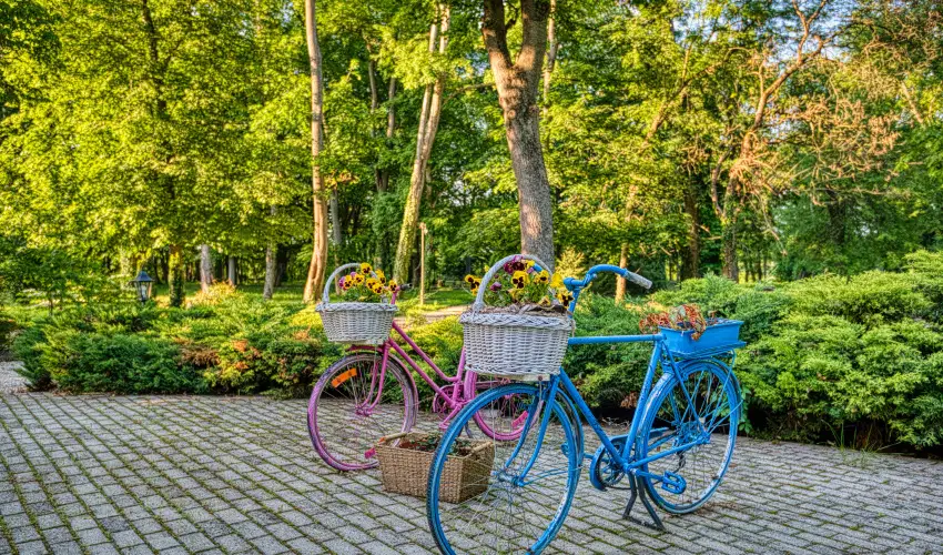 Fnix Wellness Resort Ngrdgrdony - Szilveszter (min. 3 j)