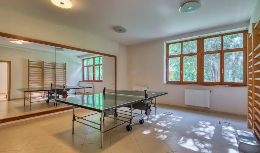 Fnix Wellness Resort Ngrdgrdony - Szilveszter (min. 3 j)