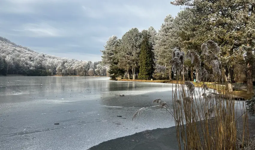 Fortuna Apartman K�szeg - Szilveszter