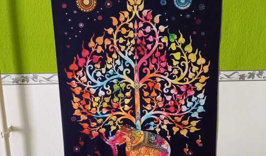 Gbor Vendghz Eger - Szilveszter