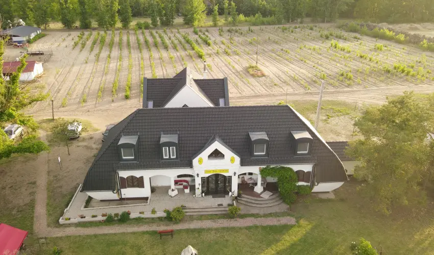 Gedeon Tanya-Panzi Jakabszlls - Szilveszter