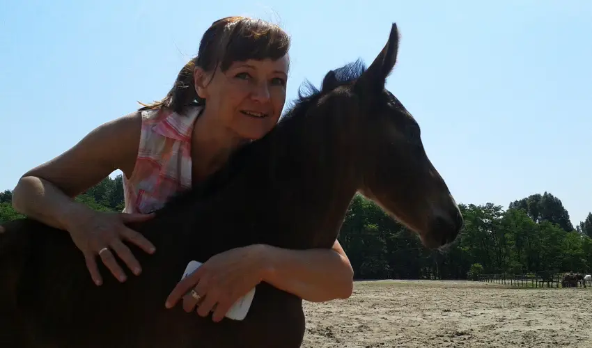 Gerby Kria Hotel s Lovasudvar Lajosmizse - Szilveszter (min. 2 j)