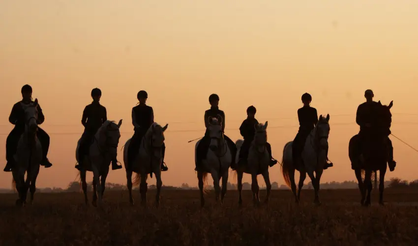 Gerby Kria Hotel s Lovasudvar Lajosmizse - Szilveszter (min. 2 j)