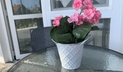 Mese Panzi Zalakaros