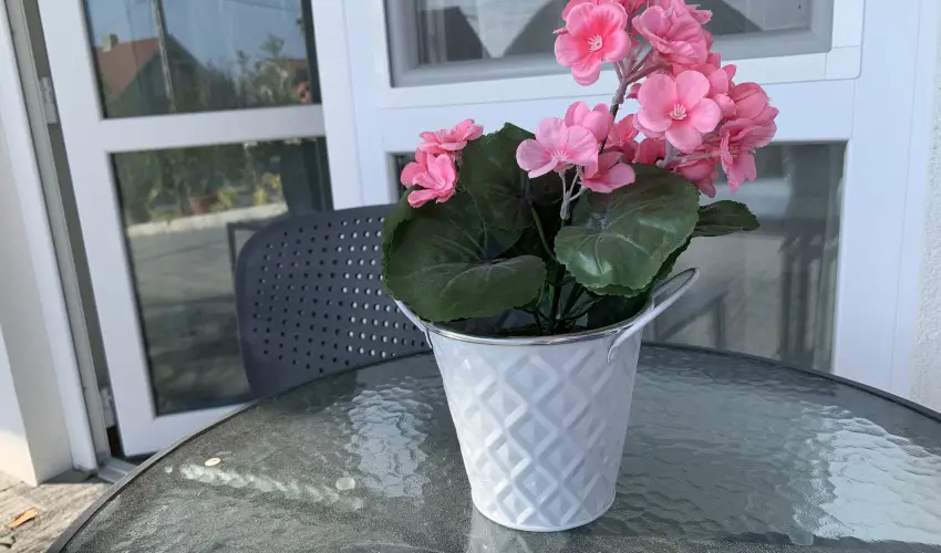 Mese Panzió Zalakaros - Szilveszter (min. 2 éj)