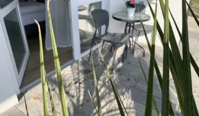 Mese Panzi Zalakaros