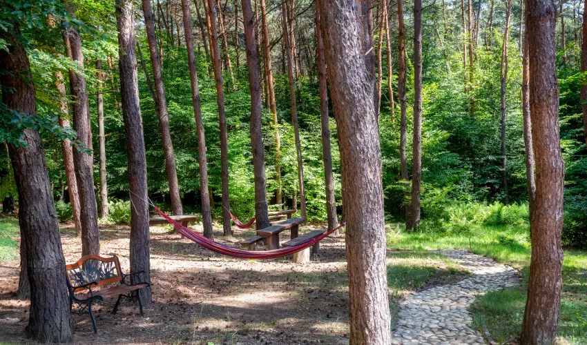 Gosztola Gyngye-az erd szllodja Gosztola - Szilveszter (min. 3 j)