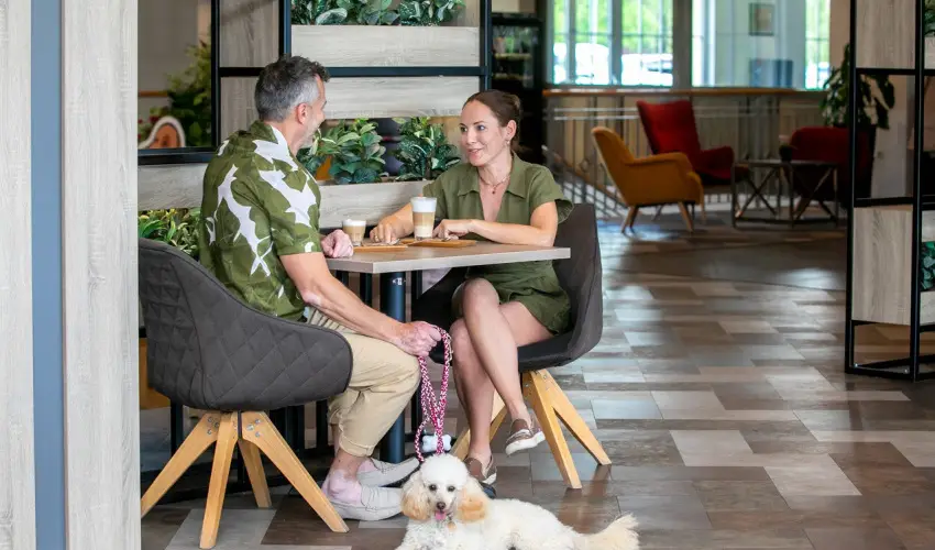 Gotthard Therme Hotel & Conference Szentgotthrd - Szilveszter (min. 3 j)