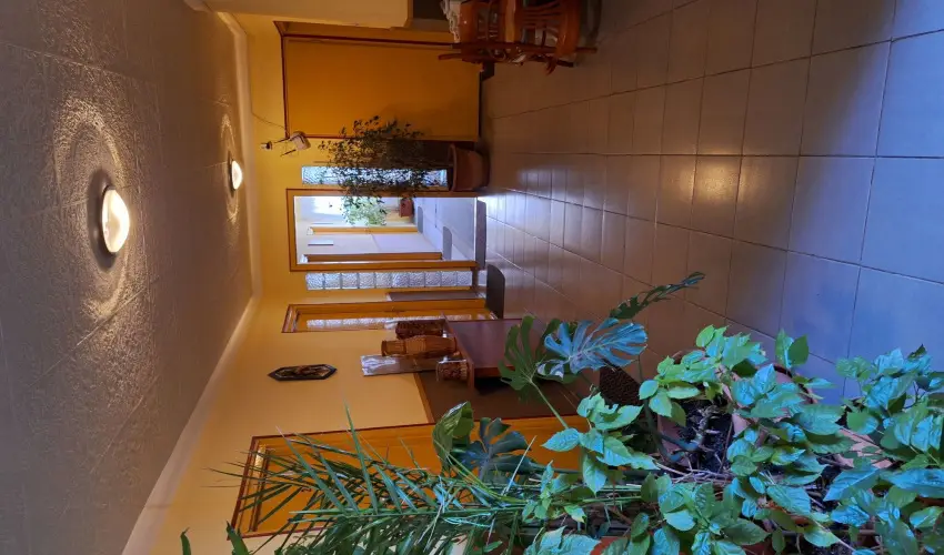 Grill Terasz tterem s Szllshely Mezkvesd - Szilveszter