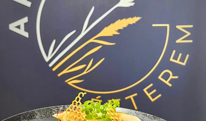 Gyirmt Sport & Wellness Hotel Gyr - Szilveszteri csomagajnlat (min. 3 j)