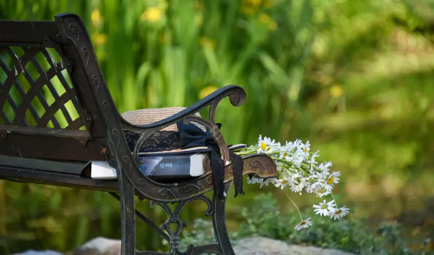 Halhza Vendghz Sirok - Szilveszter