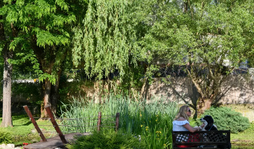 Halhza Vendghz Sirok - Szilveszter