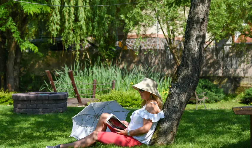 Halhza Vendghz Sirok - Szilveszter