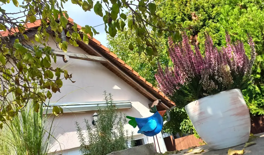 Hanga-lak Velence - Szilveszter (min. 2 �j)