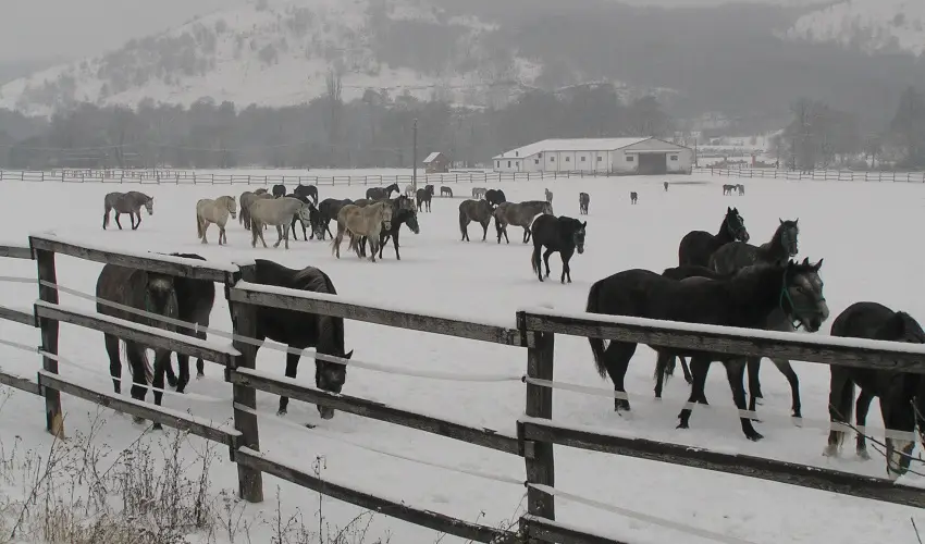 Aliz Villa Szilvsvrad - Csendes Szilveszter (min. 2 j)