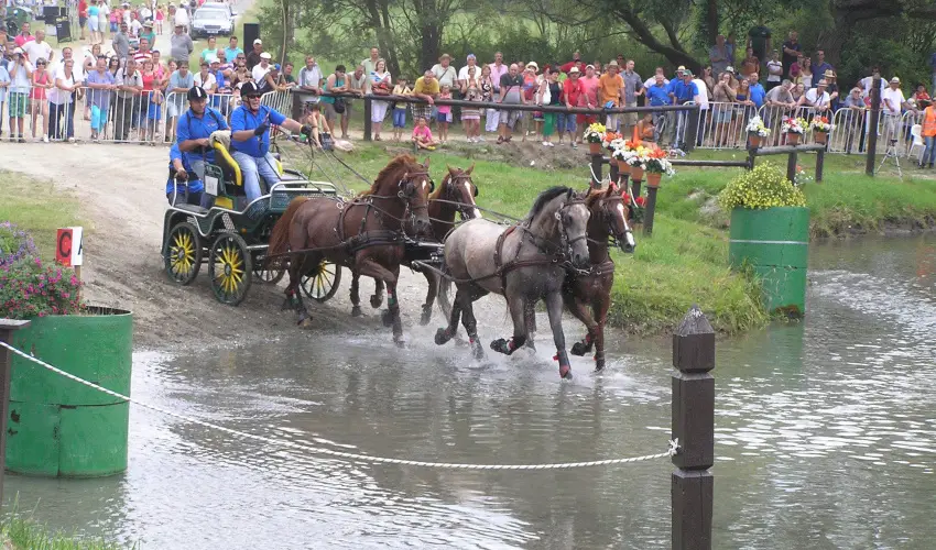 Aliz Villa Szilvsvrad - Csendes Szilveszter (min. 2 j)