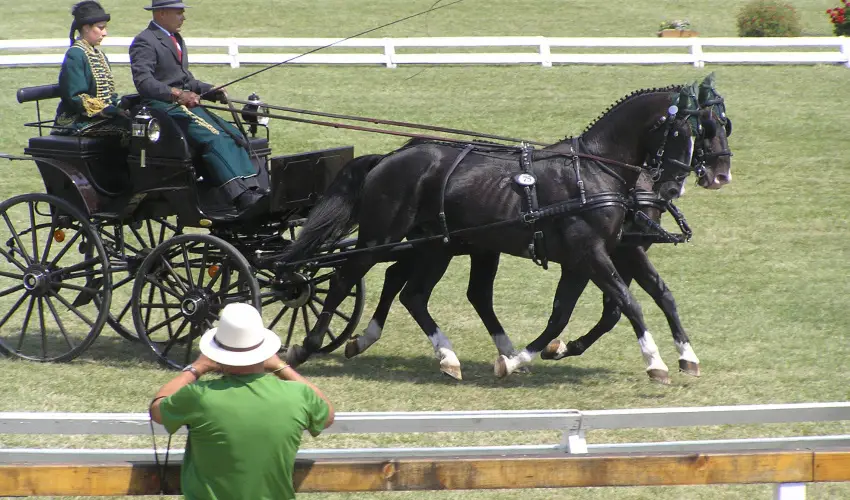 Aliz Villa Szilvsvrad - Csendes Szilveszter (min. 2 j)