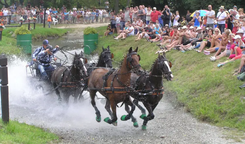 Aliz Villa Szilvsvrad - Csendes Szilveszter (min. 2 j)