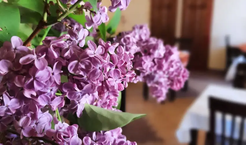 Aliz Villa Szilvsvrad - Csendes Szilveszter (min. 2 j)