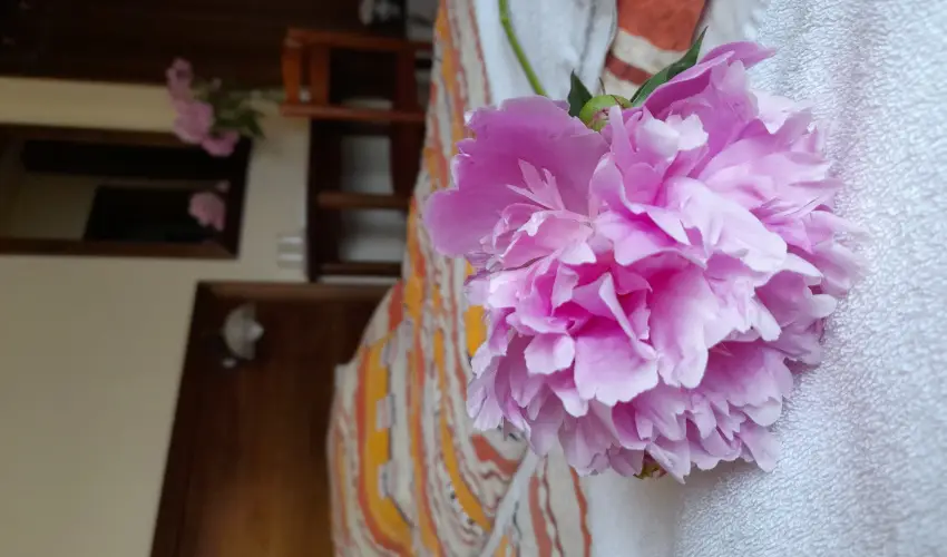 Aliz Villa Szilvsvrad - Csendes Szilveszter (min. 2 j)