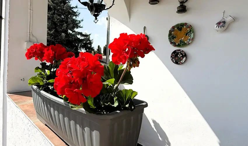 Harmony Vendghz Egerszalk - Szilveszter (min. 3 j)