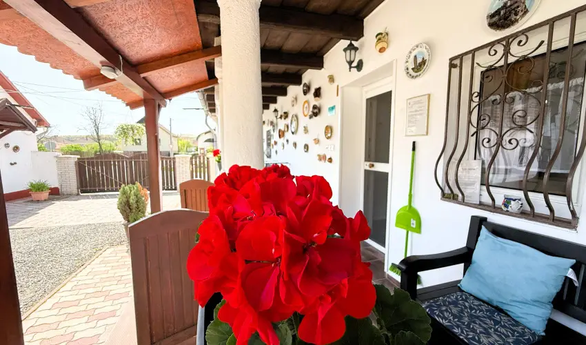 Harmony Vendghz Egerszalk - Szilveszter (min. 3 j)