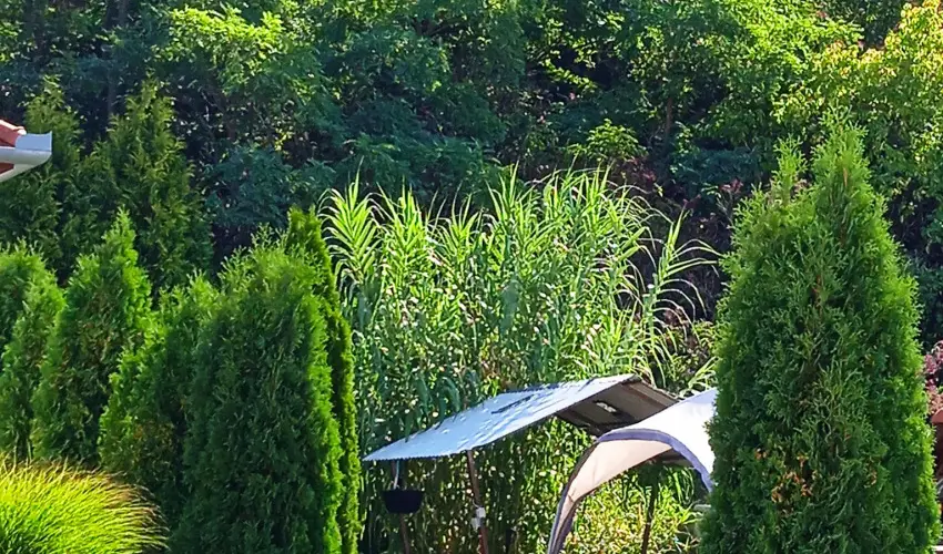 Harmony Vendghz Egerszalk - Szilveszter (min. 3 j)