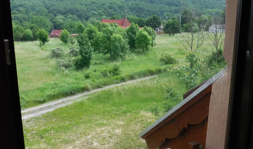 Hegyi Panzi Szilvsvrad - Szilveszter (min. 3 j)