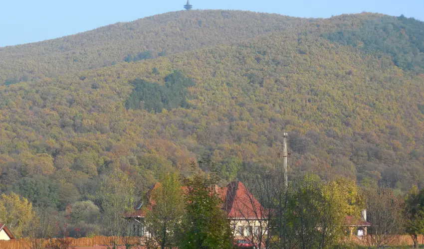 Hegyi Panzi Szilvsvrad - Szilveszter (min. 3 j)