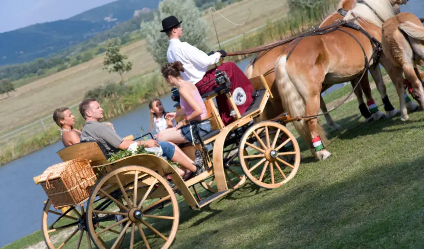 Htkti Wellness Hotel & Lovaspark Mr - Szilveszter