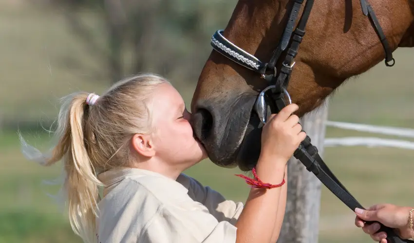 Htkti Wellness Hotel & Lovaspark Mr - Szilveszter