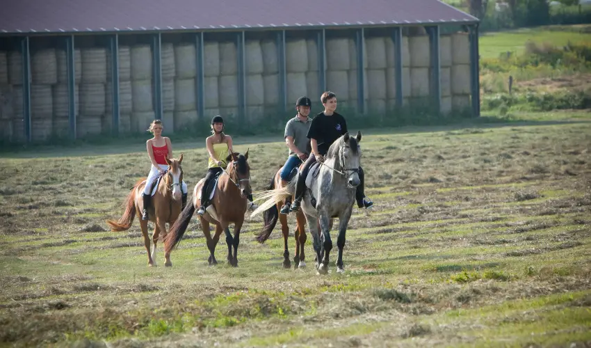 Htkti Wellness Hotel & Lovaspark Mr - Szilveszter