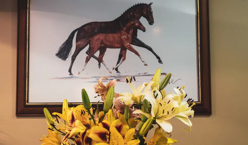 Htkti Wellness Hotel & Lovaspark Mr - Szilveszter