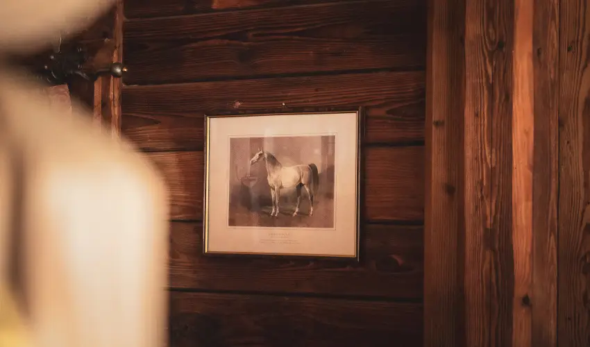 Htkti Wellness Hotel & Lovaspark Mr - Szilveszter