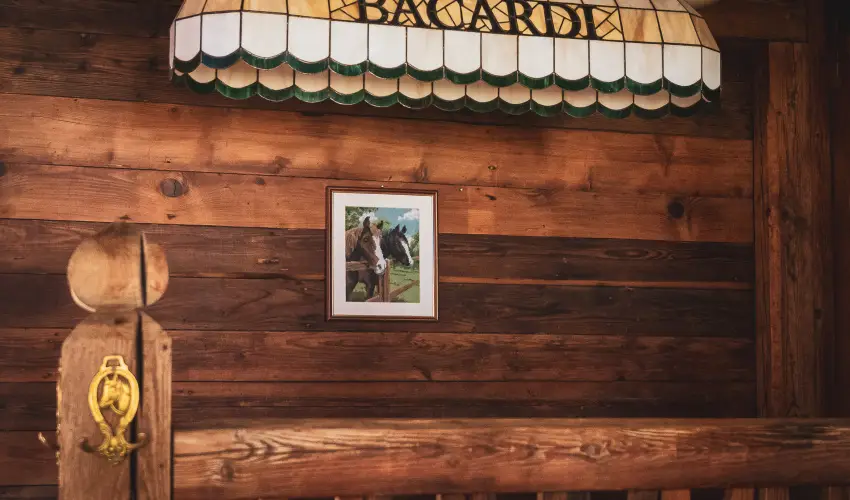 Htkti Wellness Hotel & Lovaspark Mr - Szilveszter