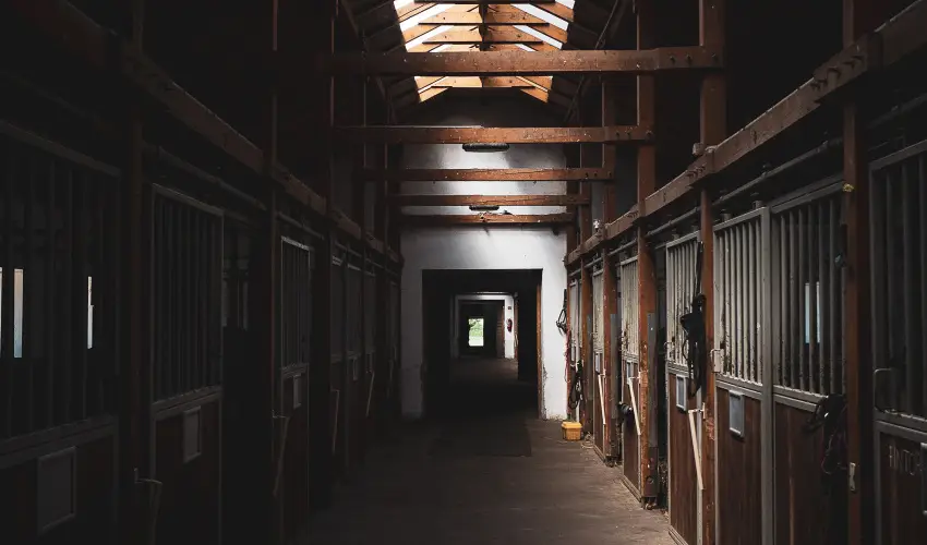 Htkti Wellness Hotel & Lovaspark Mr - Szilveszter