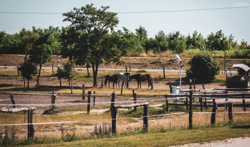 Htkti Wellness Hotel & Lovaspark Mr - Szilveszter