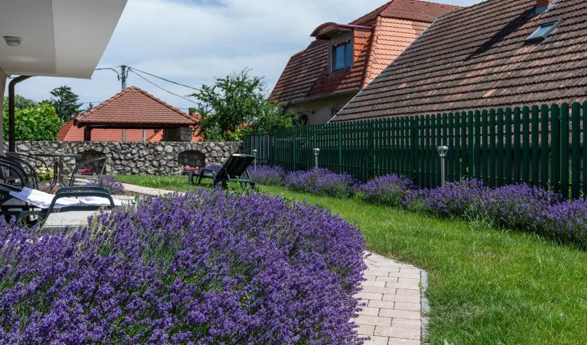 Holiday Club Apartman Hotel H�v�z H�v�z - Szilveszter (min. 2 �j)