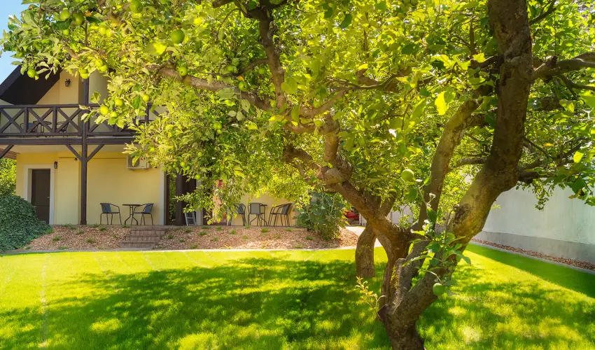 Honti Panzi Visegrd - Szilveszter (min. 3 j)