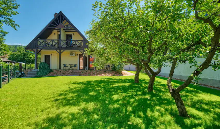 Honti Panzi Visegrd - Szilveszter (min. 3 j)