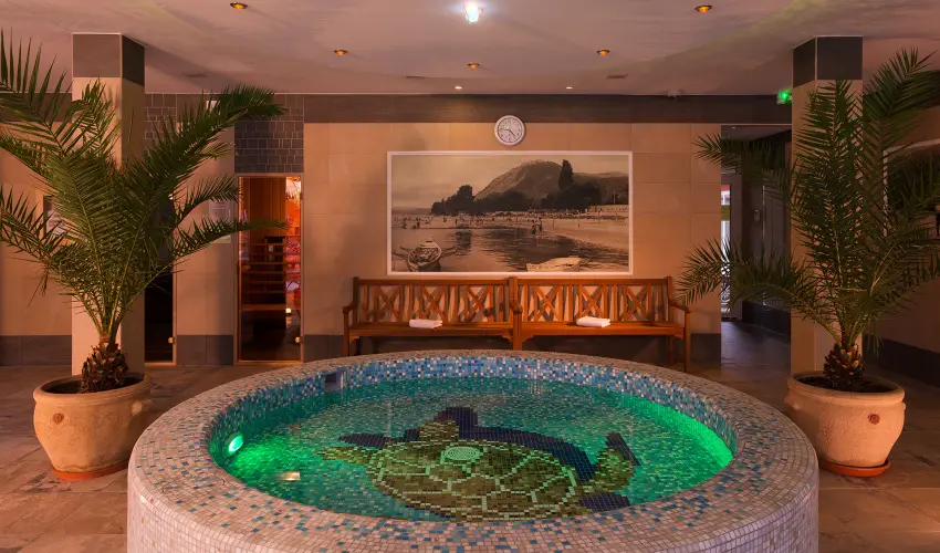 Honti Panzi Visegrd - Szilveszter (min. 3 j)