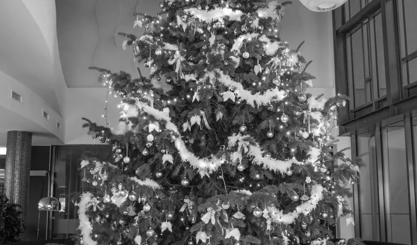 Aura Hotel Balatonfred - Szilveszter (min. 2 j)