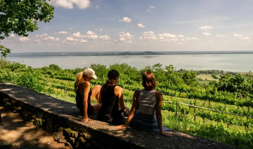 Hotel Bonvino Wine & Spa Badacsony - Szilveszter (min. 3 �j)
