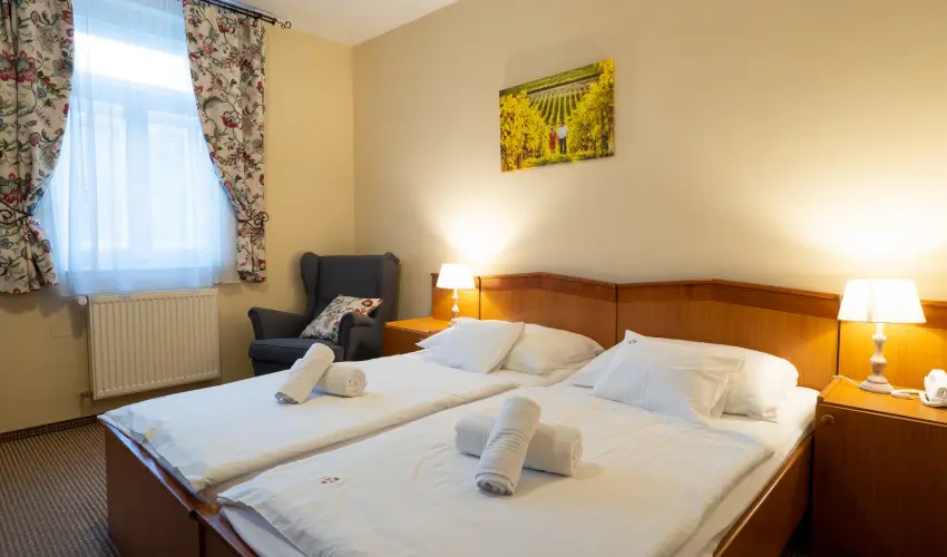 Hotel Cabernet Vill�nyk�vesd - Szilveszter